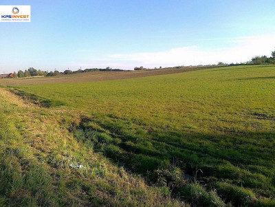 Na sprzedaż działka przemysłowa - Pysząca -
wielkopolskie Zdjęcie nr 4