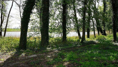 Na sprzedaż działka budowlana - Białcz -
wielkopolskie Zdjęcie nr 11