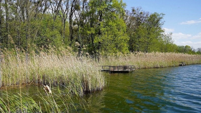 Na sprzedaż działka budowlana - Białcz -
wielkopolskie Zdjęcie nr 14