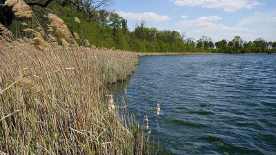 Na sprzedaż działka budowlana - Białcz -
wielkopolskie Zdjęcie nr 15