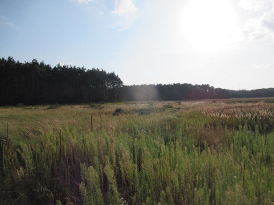 Na sprzedaż działka budowlana - Rakowo -
wielkopolskie Zdjęcie nr 5