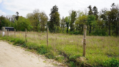 Na sprzedaż działka budowlana - Białcz -
wielkopolskie Zdjęcie nr 10