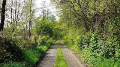 Na sprzedaż działka budowlana - Białcz -
wielkopolskie Zdjęcie nr 15