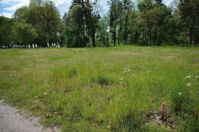 Na sprzedaż działka budowlana - Białcz -
wielkopolskie Zdjęcie nr 6