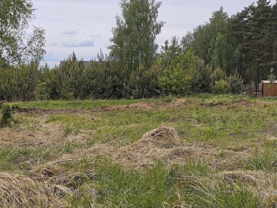 Na sprzedaż działka budowlana - Daszewice -
wielkopolskie Zdjęcie nr 3