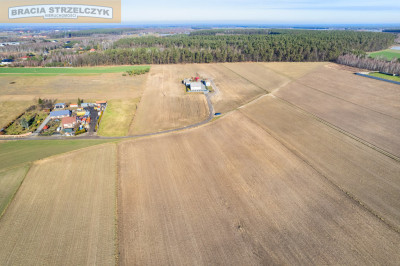 Działki Budowlane Niepiekła gm Załuski - Niepiekła  -
Mazowieckie Zdjęcie nr 3