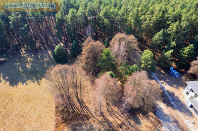 Działka z lasem pod Warszawą - Górki  -
Mazowieckie Zdjęcie nr 10