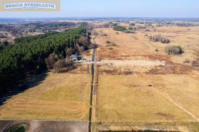 Działka z lasem pod Warszawą - Górki  -
Mazowieckie Zdjęcie nr 6