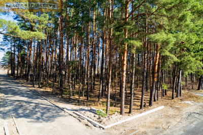 Działka budowlana z możliwością podziału - Górki  -
Mazowieckie Zdjęcie nr 8