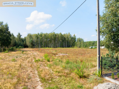 Działka budowlana  gm Tłuszcz NEGOCJACJA CENY - Chrzęsne  -
Mazowieckie Zdjęcie nr 10