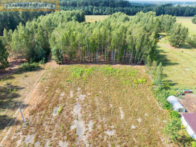 Działka budowlana  gm Tłuszcz NEGOCJACJA CENY - Chrzęsne  -
Mazowieckie Zdjęcie nr 7