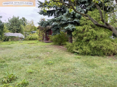 Bemowo II - działka ROD sprzedam - Bielany  -
Mazowieckie Zdjęcie nr 2