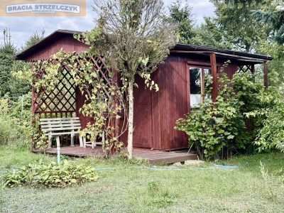 Bemowo II - działka ROD sprzedam - Bielany  -
Mazowieckie Zdjęcie nr 5