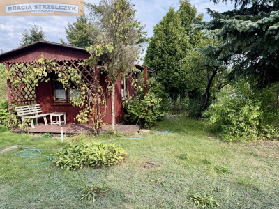 Bemowo II - działka ROD sprzedam - Bielany  -
Mazowieckie Zdjęcie nr 7