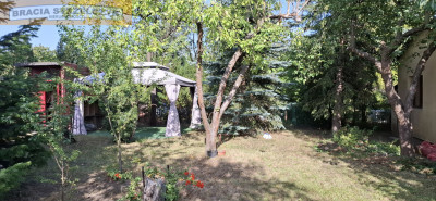Działka ROD Siekierki II - 300 m - Mokotów  -
Mazowieckie Zdjęcie nr 2