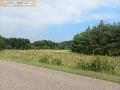 Działka Budowlana 2202 m2 Nowy Brańszczyk - Nowy Brańszczyk  -
Mazowieckie Zdjęcie nr 3