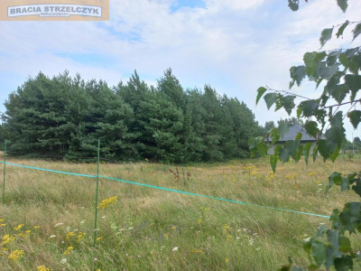Działka Budowlana 2202 m2 Nowy Brańszczyk - Nowy Brańszczyk  -
Mazowieckie Zdjęcie nr 5