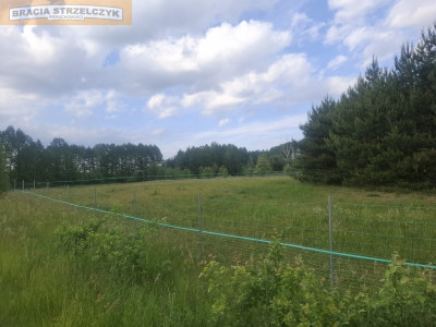 Działka Budowlana 2202 m2 Nowy Brańszczyk - Nowy Brańszczyk  -
Mazowieckie Zdjęcie nr 7