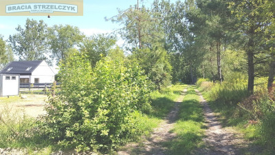 Działka budowlana w urokliwej okolicy - Słubica Dobra  -
Mazowieckie Zdjęcie nr 2