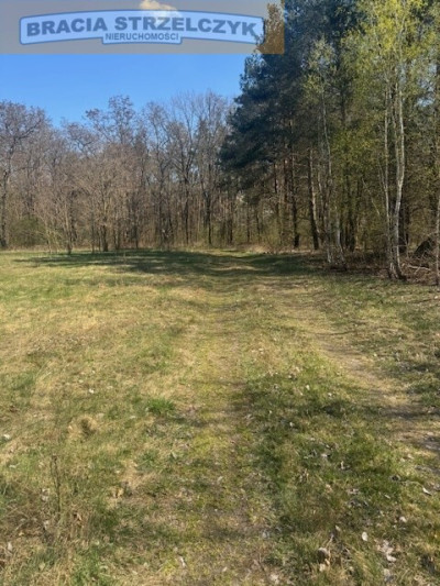 Grochowa gm Piaseczno - na sprzedaż 2 działki - Grochowa  -
Mazowieckie Zdjęcie nr 2