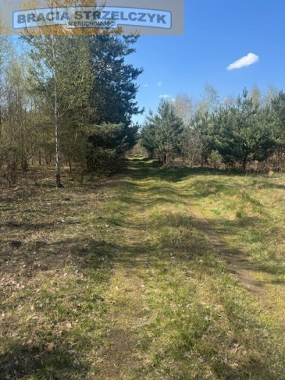 Grochowa gm Piaseczno - na sprzedaż 2 działki - Grochowa  -
Mazowieckie Zdjęcie nr 3