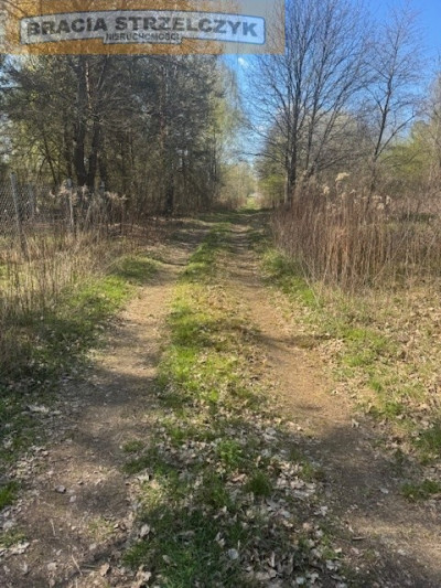 Grochowa gm Piaseczno - na sprzedaż 2 działki - Grochowa  -
Mazowieckie Zdjęcie nr 4