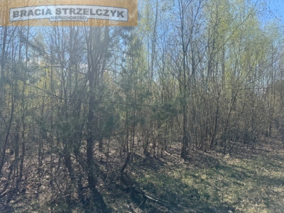Grochowa gm Piaseczno - na sprzedaż 2 działki - Grochowa  -
Mazowieckie Zdjęcie nr 5