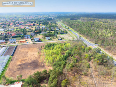 SPRZEDAŻ Grunt 7874 m  Rajszew  Skrzyżowanie - Rajszew  -
Mazowieckie Zdjęcie nr 4