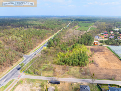 SPRZEDAŻ Grunt 7874 m  Rajszew  Skrzyżowanie - Rajszew  -
Mazowieckie Zdjęcie nr 8