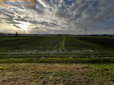 Działka Rolna - Świerże Górne  - Mazowieckie