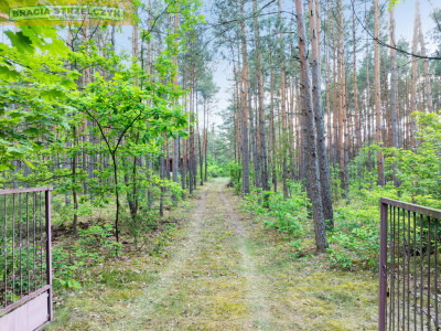 Nowa Wieś kSerocka działka budowlana - Nowa Wieś  -
Mazowieckie Zdjęcie nr 7