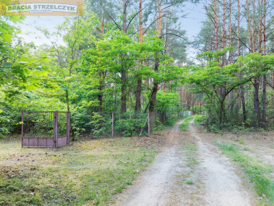 Nowa Wieś kSerocka działka budowlana - Nowa Wieś  -
Mazowieckie Zdjęcie nr 8
