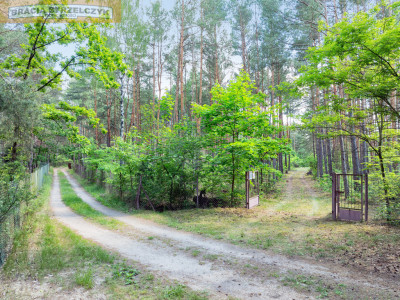 Nowa Wieś kSerocka działka budowlana - Nowa Wieś  -
Mazowieckie Zdjęcie nr 9