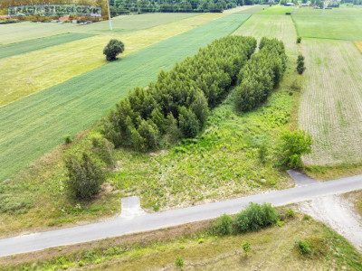 Atrakcyjna działka inwestycyjna 9700 m CPK - Holendry Baranowskie  -
Mazowieckie Zdjęcie nr 9