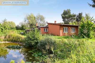 Malownicza Działka 3357 m2 Brzeźce Białobrzegi - Brzeźce  -
Mazowieckie Zdjęcie nr 8