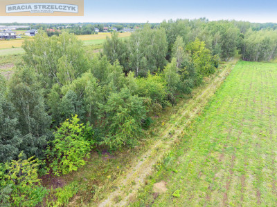 Działka 2000 m pod dom  Walendów - Walendów  -
Mazowieckie Zdjęcie nr 10