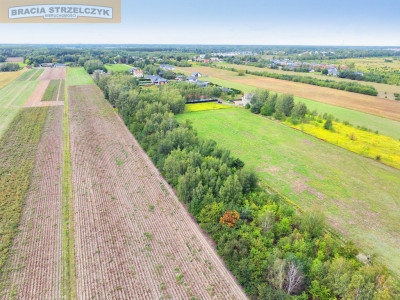Działka 2000 m pod dom  Walendów - Walendów  -
Mazowieckie Zdjęcie nr 5