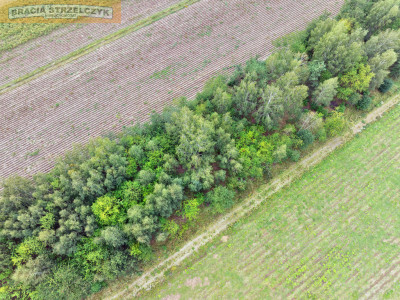 Działka 2000 m pod dom  Walendów - Walendów  -
Mazowieckie Zdjęcie nr 9