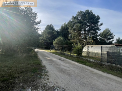 Działka jest MPZP pod zabudowe mieszkaniowa ŚwiniotopKamieńczyk - Świniotop  -
Mazowieckie Zdjęcie nr 6