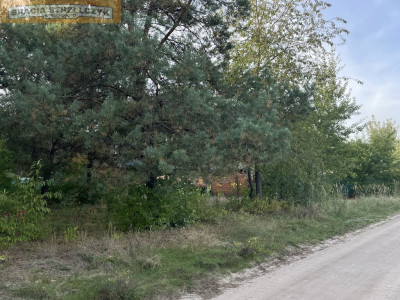 Działka jest MPZP pod zabudowe mieszkaniowa ŚwiniotopKamieńczyk - Świniotop  -
Mazowieckie Zdjęcie nr 3