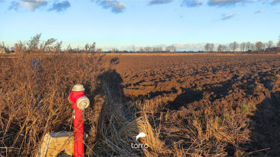Idealna Działka pod Budowę dużego Domu - 20min od Centrum Gdańska -
Pomorskie Zdjęcie nr 5