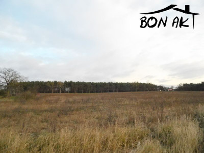 Na sprzedaż działka budowlana - Pniewy -
wielkopolskie Zdjęcie nr 2