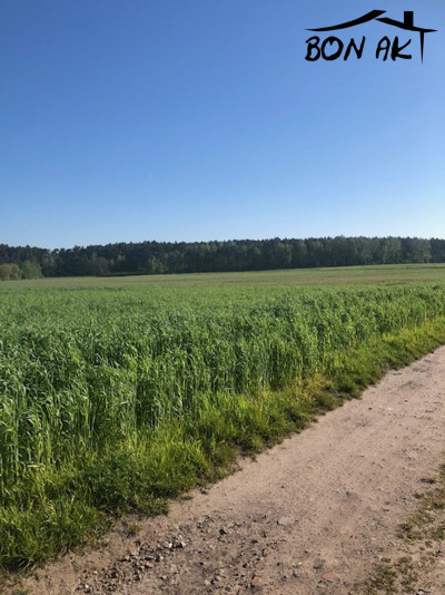 Na sprzedaż działka budowlana - Szamotuły -
wielkopolskie Zdjęcie nr 6