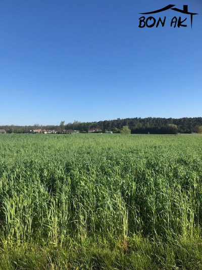 Na sprzedaż działka budowlana - Szamotuły -
wielkopolskie Zdjęcie nr 7