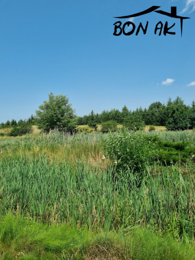 Na sprzedaż działka budowlana - Lutom -
wielkopolskie Zdjęcie nr 3