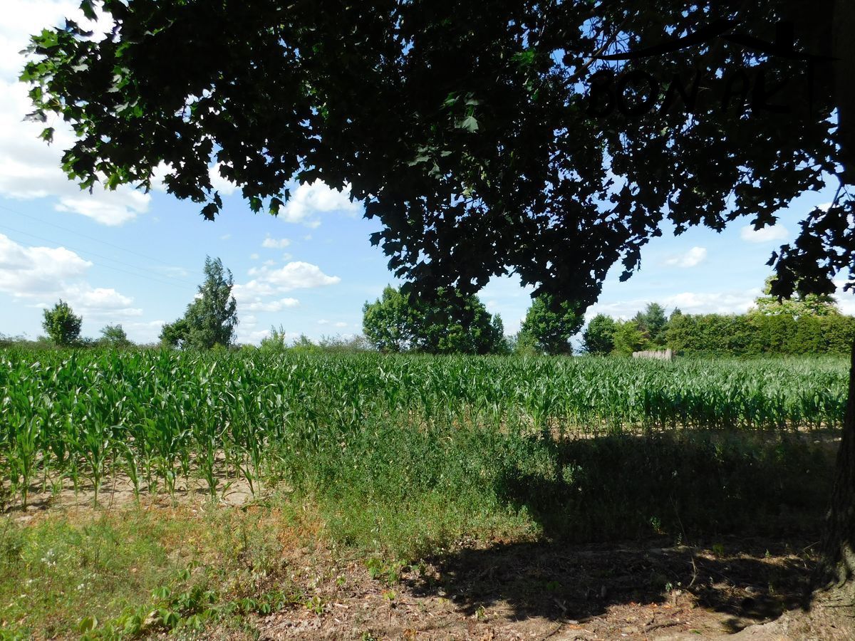 Na sprzedaż działka budowlana - Kaźmierz -
wielkopolskie Zdjęcie nr 1