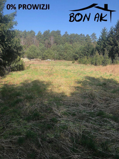 Na sprzedaż działka budowlana - Koźle -
wielkopolskie Zdjęcie nr 6