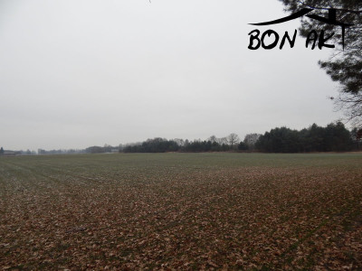 Na sprzedaż działka rolna - Siercz -
lubuskie Zdjęcie nr 4