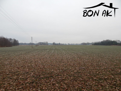 Na sprzedaż działka rolna - Siercz -
lubuskie Zdjęcie nr 5