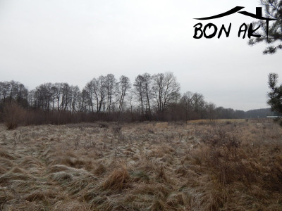 Na sprzedaż działka rolna - Siercz -
lubuskie Zdjęcie nr 9